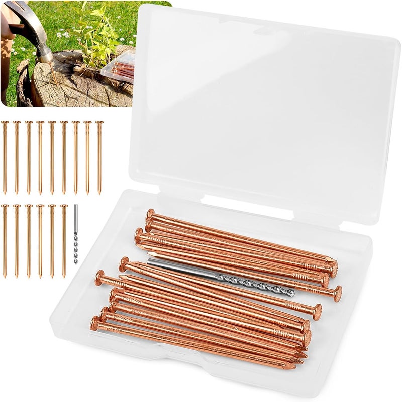 UCandy 15 pcs Copper Nails for Killing Trees Stump Root Slowly, 3.15" Copper Nails with Drill, Stump Removal Spikes Nails for Trees, Stumps - Image 1